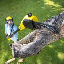Best Emergency Tree Removal  in Johns Creek, GA