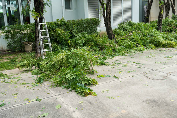 Best Lawn Watering Services  in Johns Creek, GA